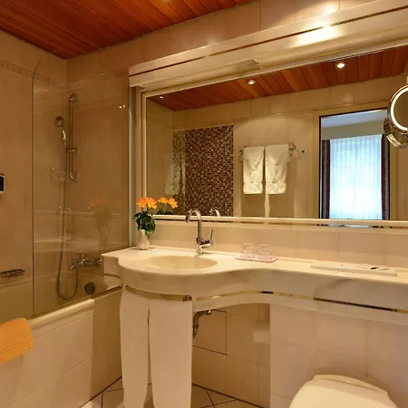 Hotel Partner Hollaender Hof Heidelberg